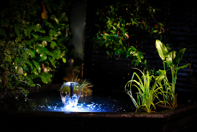 photo of a small pond and fountain at night